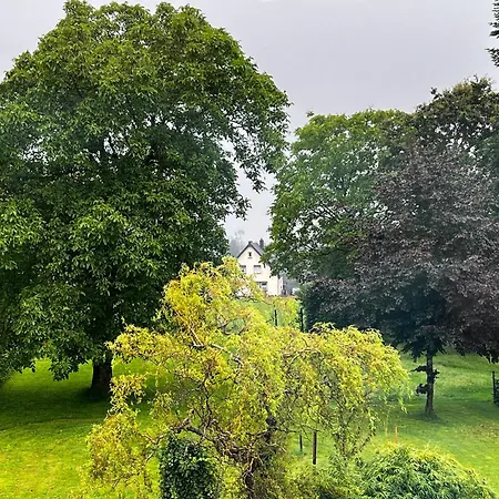 Eifeleule Apartman *