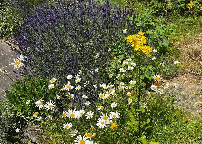 Eifeleule Apartament *