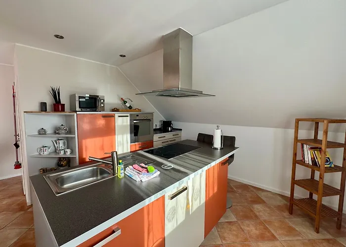 Eifeleule * Hürtgenwald